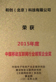 2015中國互聯(lián)網(wǎng)行業(yè)領軍企業(yè)